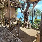 Panoramic In *