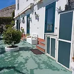 فيلة Panoramic In
