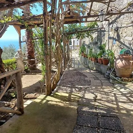 Panoramic In * アマルフィ